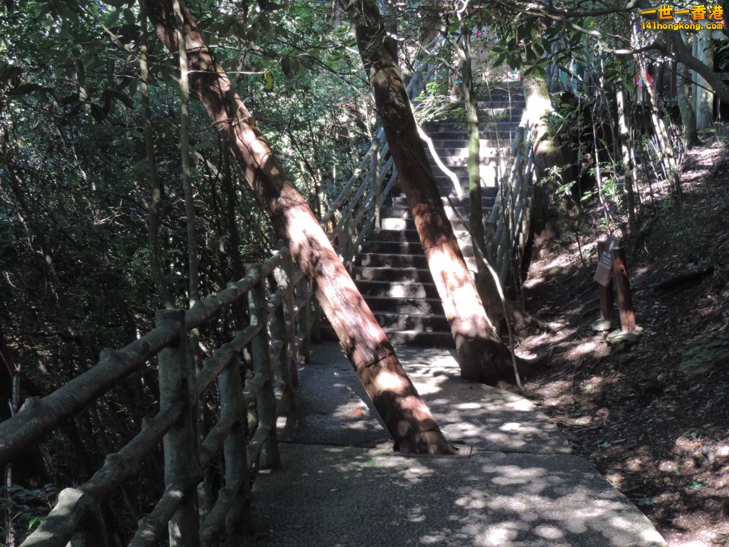 DSCN5631.JPG