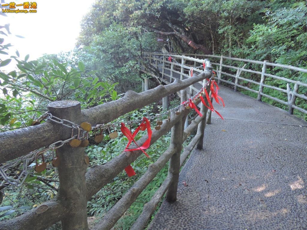 DSCN5635.JPG