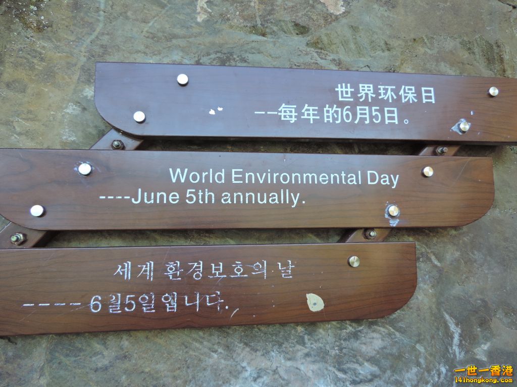 DSCN5638.JPG