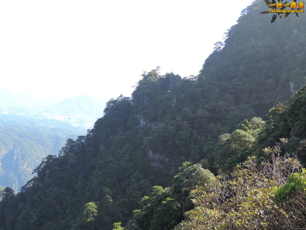 DSCN5650.JPG