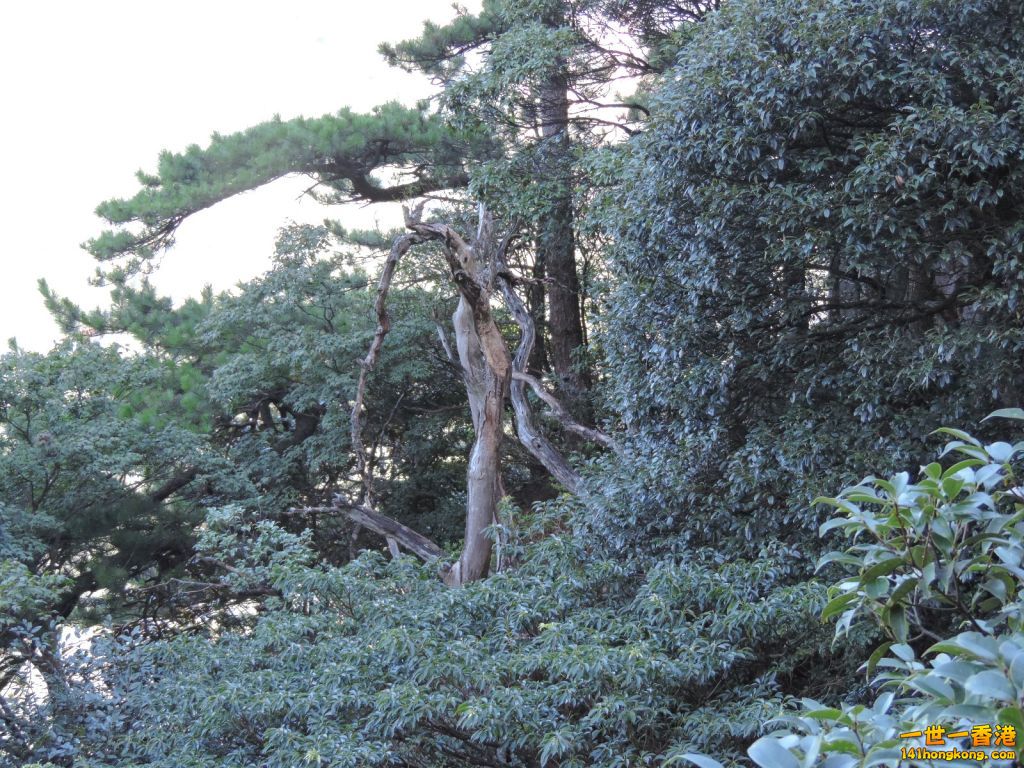DSCN5658.JPG