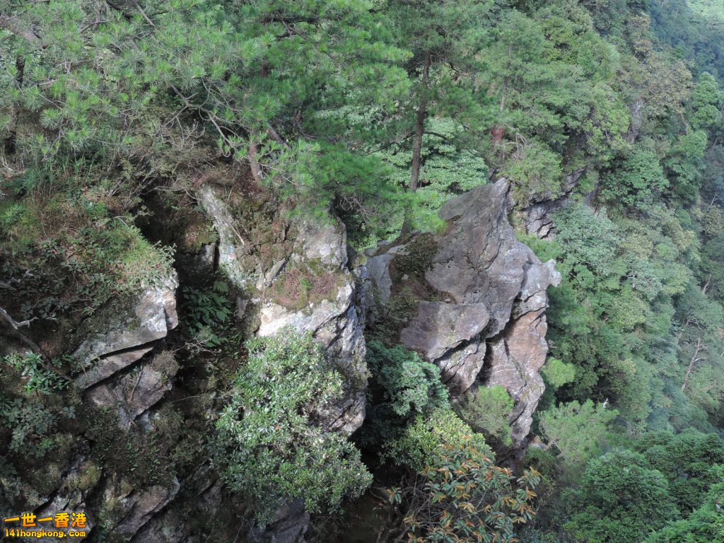 DSCN5661.JPG