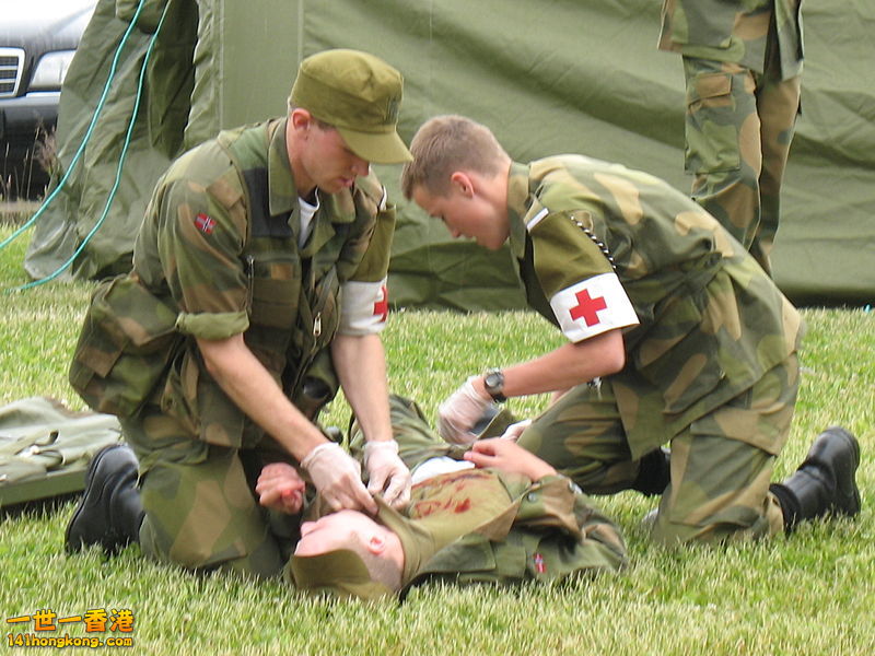 挪威軍醫訓練。.jpg