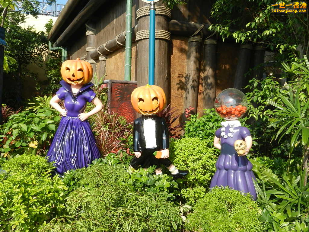 DSCN3271.JPG