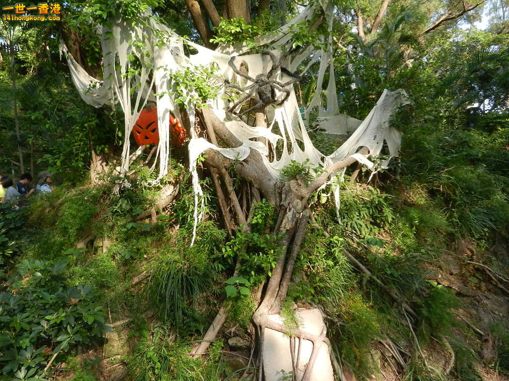 DSCN3286.JPG