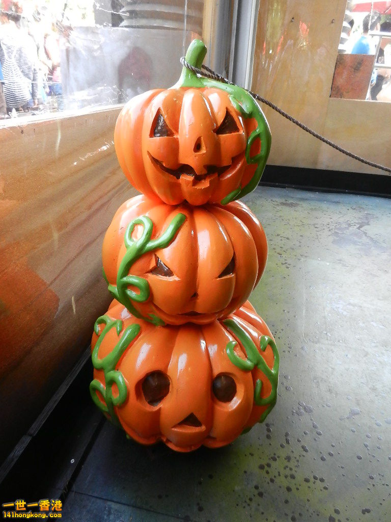 DSCN3262.JPG