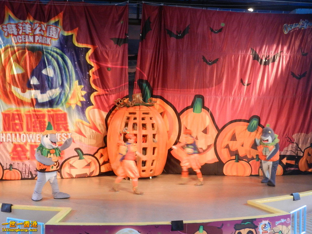 DSCN3194.JPG