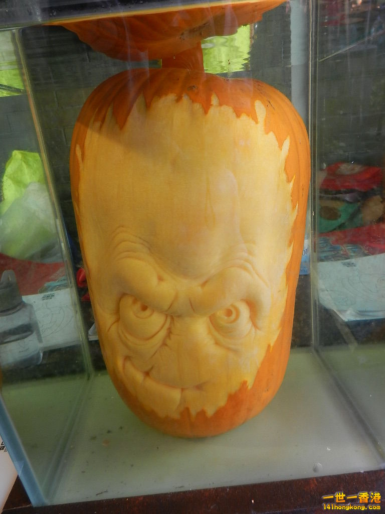DSCN3257.JPG