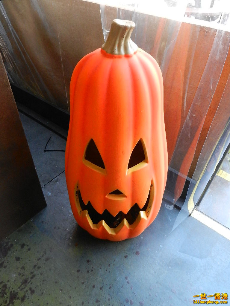 DSCN3258.JPG