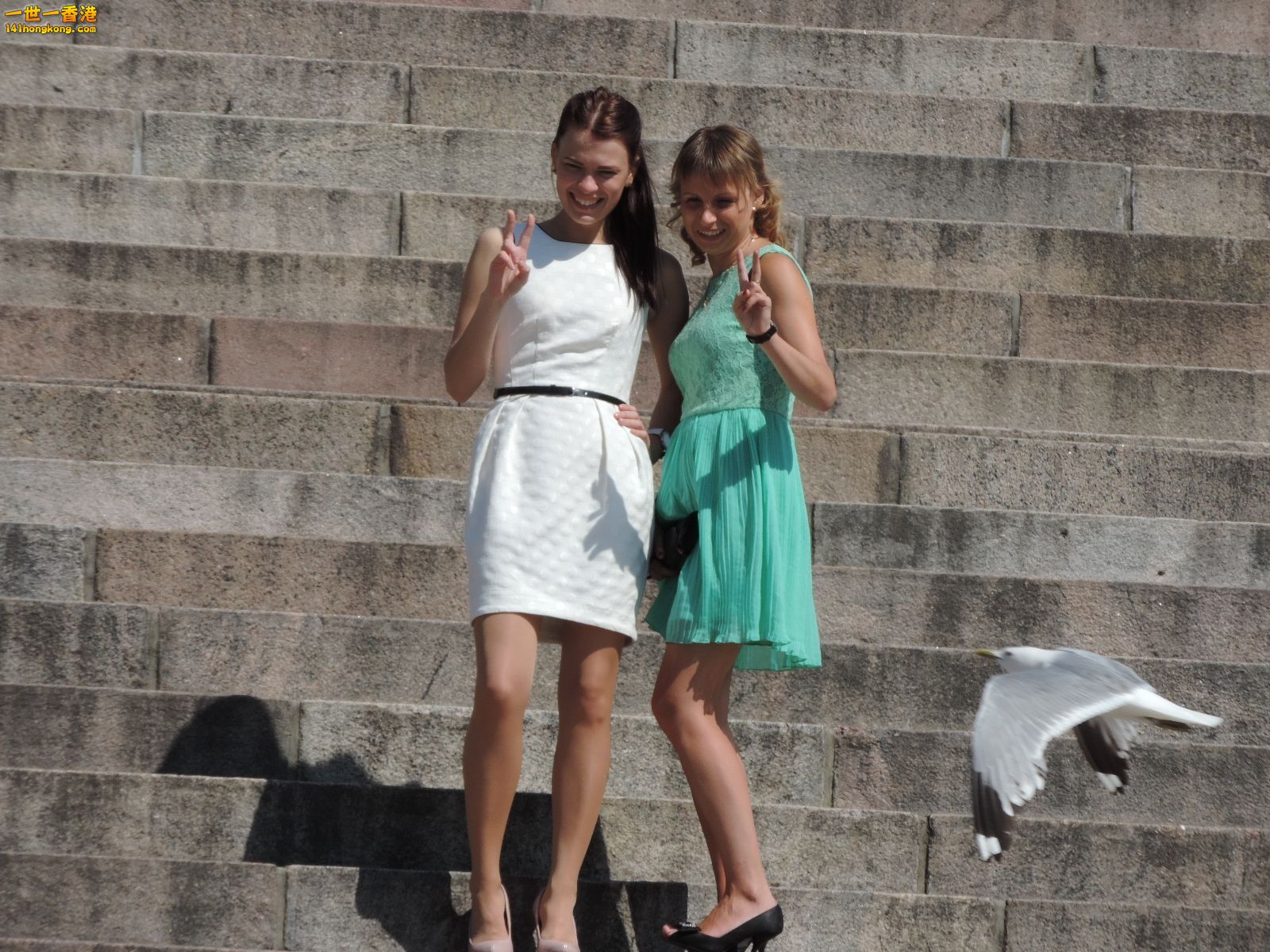 DSCN2914.jpg