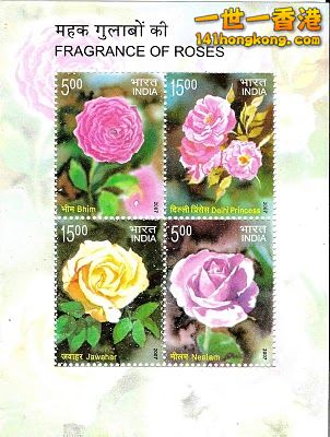 India Roses MS.jpg