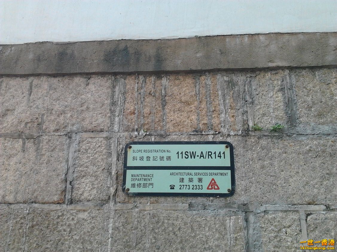 相片0278.jpg