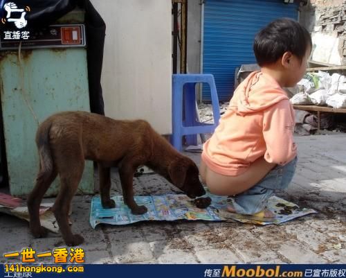 食屎狗.jpg