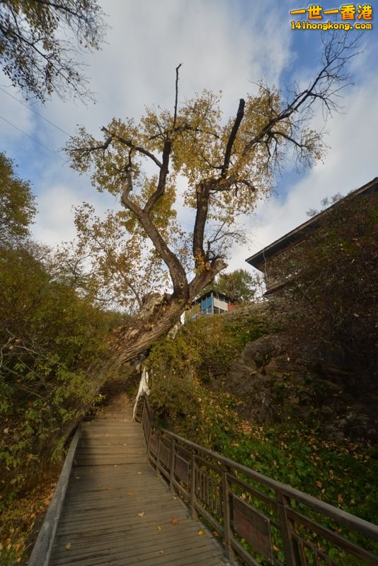 DSC_8122 [800x600] [800x600].jpg