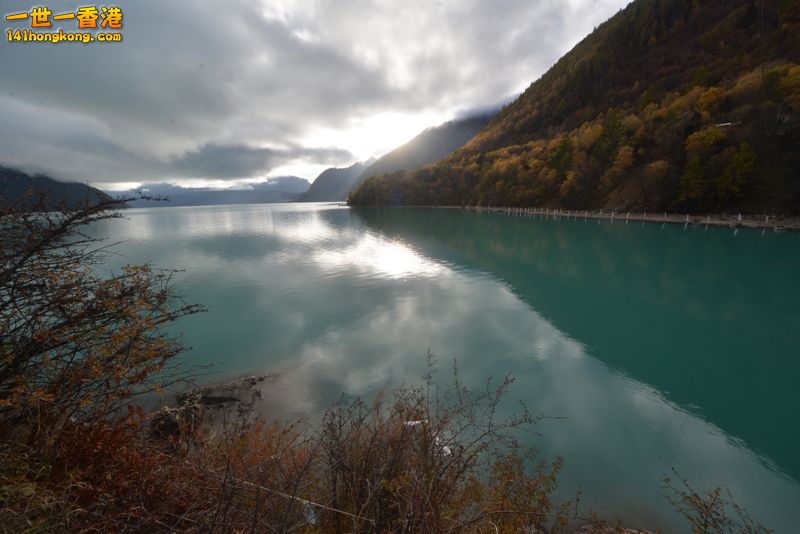 DSC_8135 [800x600].jpg