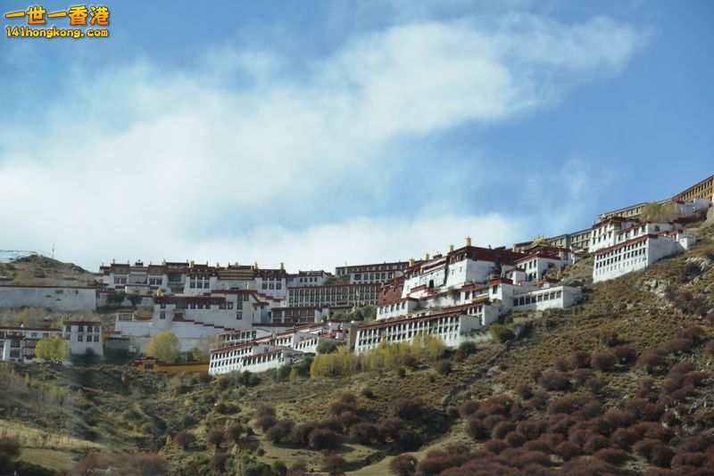 DSC_8218 [800x600].jpg