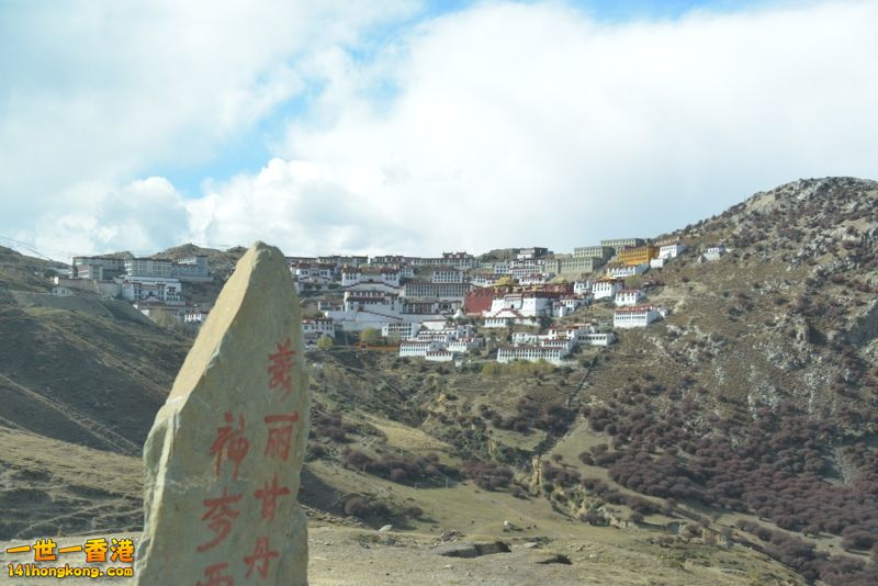 DSC_8222 [800x600].jpg