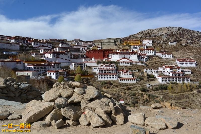 DSC_8232 [800x600] [800x600].jpg