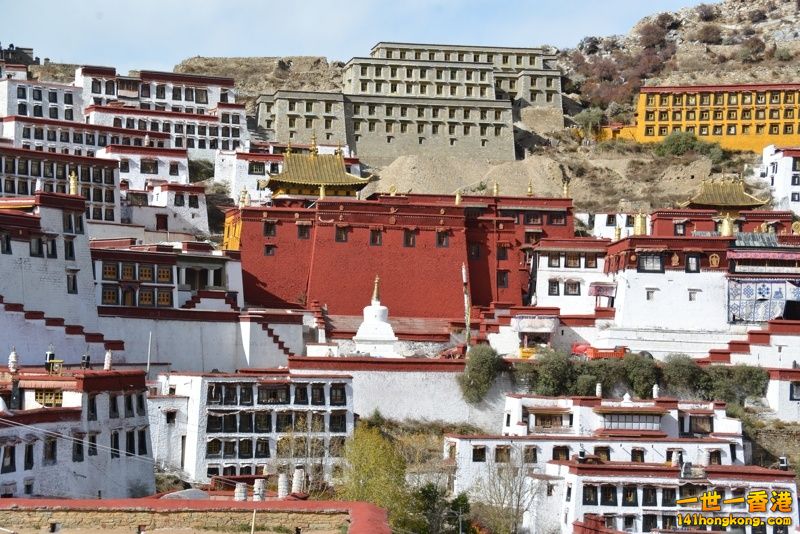 DSC_8235 [800x600] [800x600].jpg