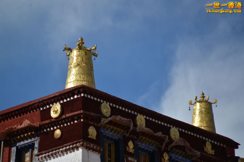 DSC_8244 [800x600].jpg