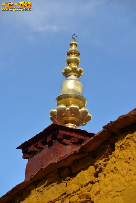 DSC_8246 [800x600].jpg