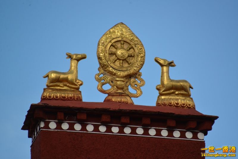 DSC_8247 [800x600].jpg