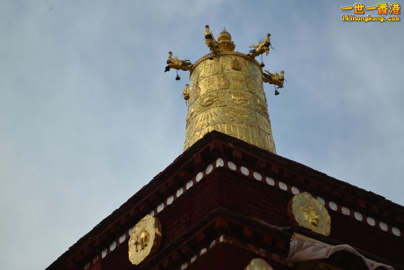 DSC_8249 [800x600].jpg