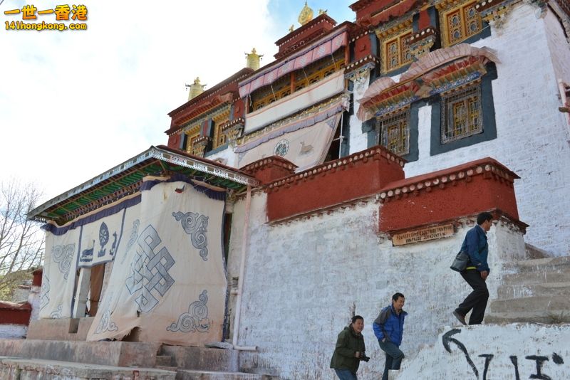 DSC_8257 [800x600] [800x600].jpg