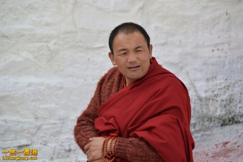 DSC_8259 [800x600].jpg