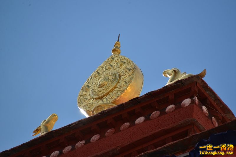 DSC_8261 [800x600].jpg