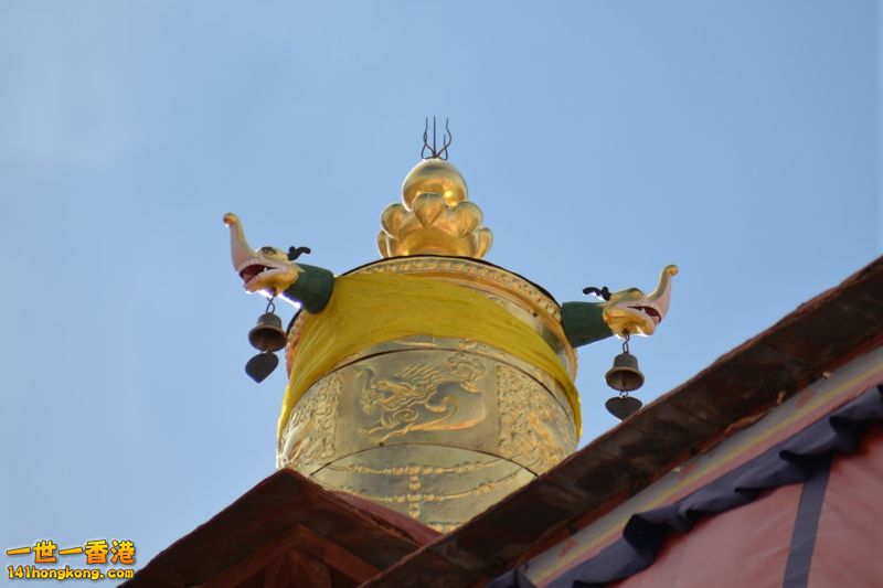 DSC_8262 [800x600].jpg