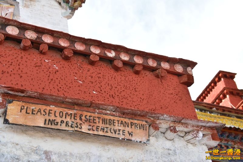 DSC_8263 [800x600] [800x600].jpg