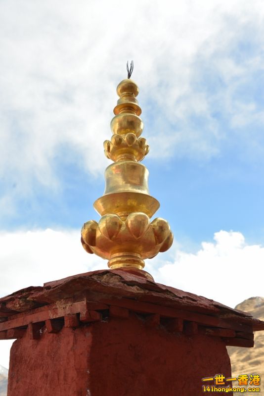 DSC_8265 [800x600].jpg