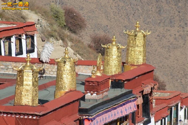 DSC_8273 [800x600] [800x600].jpg