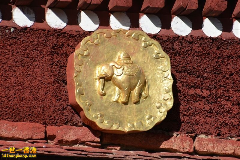 DSC_8274 [800x600] [800x600].jpg