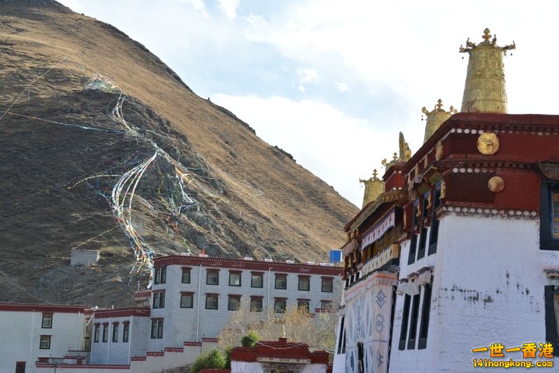 DSC_8284 [800x600] [800x600].jpg