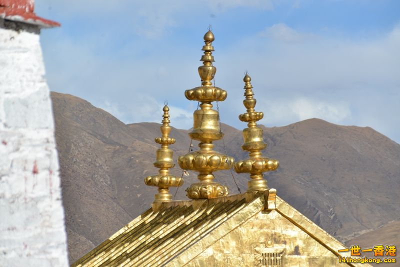 DSC_8285 [800x600].jpg