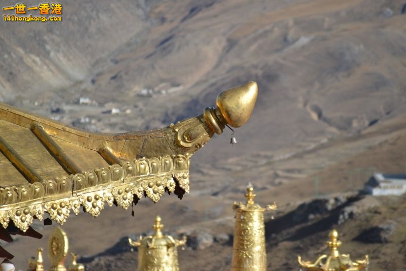 DSC_8286 [800x600].jpg