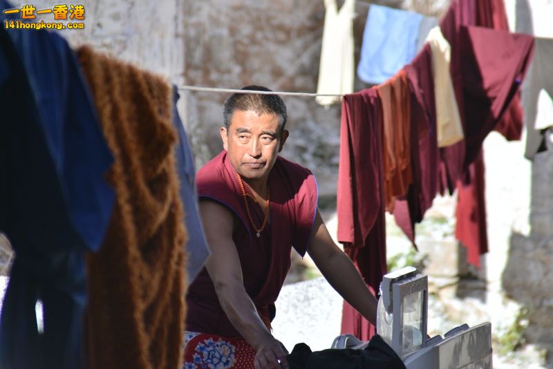 DSC_8291 [800x600].jpg