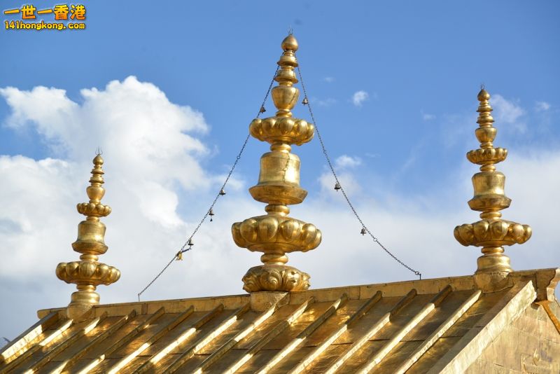 DSC_8292 [800x600].jpg