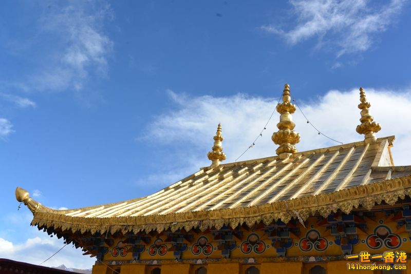 DSC_8293 [800x600].jpg