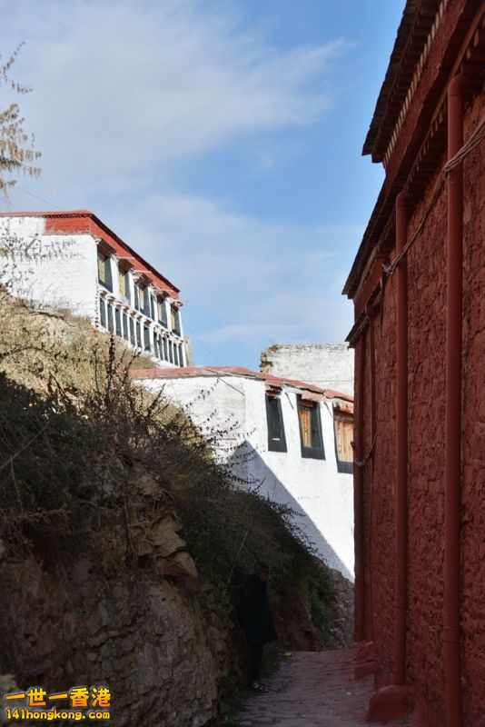 DSC_8297 [800x600].jpg