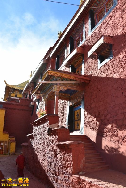 DSC_8298 [800x600] [800x600].jpg