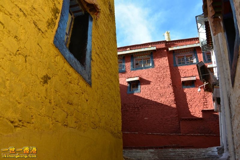 DSC_8307 [800x600] [800x600].jpg