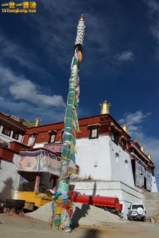 DSC_8313 [800x600].jpg