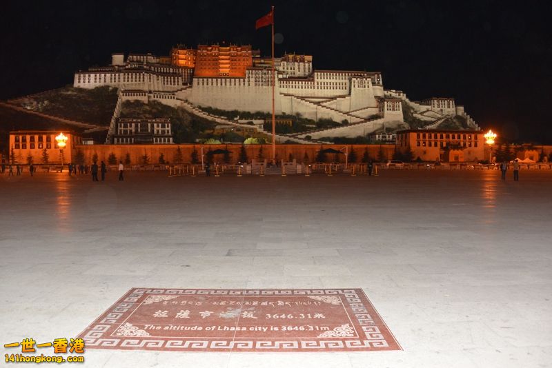 DSC_8385 [800x600].jpg