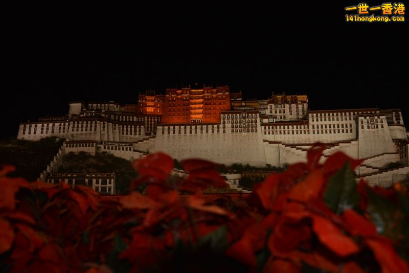 DSC_8401 [800x600].jpg