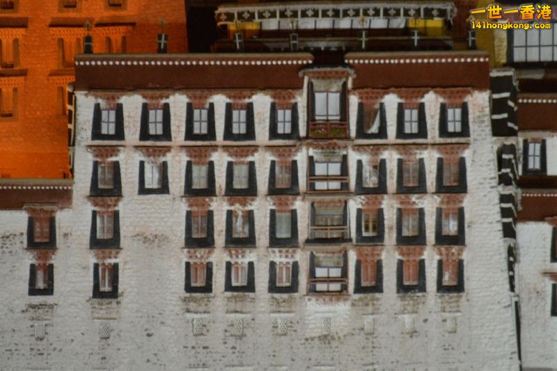 DSC_8412 [800x600] [800x600].jpg