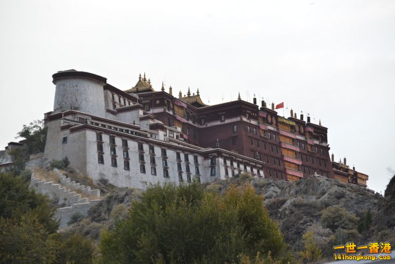 DSC_8416 [800x600].jpg