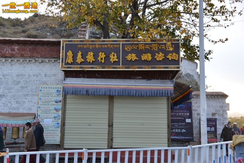 DSC_8417 [800x600] [800x600].jpg